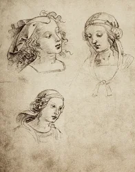 Study for Three Feminine Heads